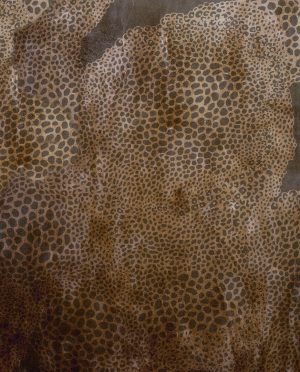 Tapetai WDCH1702 Cheetah